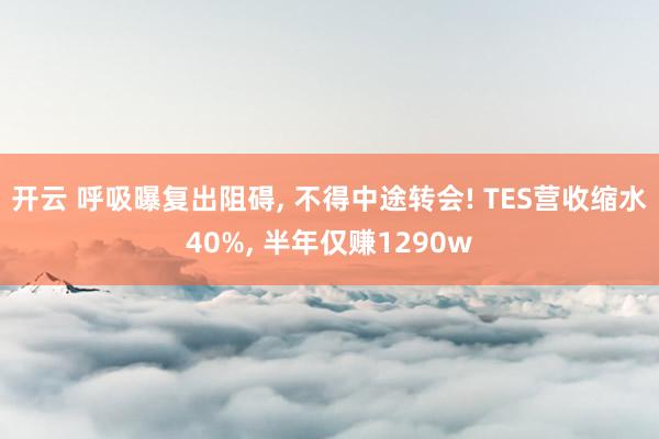 开云 呼吸曝复出阻碍, 不得中途转会! TES营收缩水40%, 半年仅赚1290w