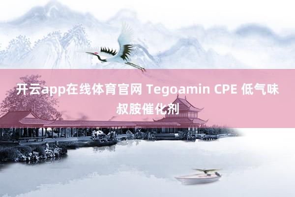 开云app在线体育官网 Tegoamin CPE 低气味叔胺催化剂