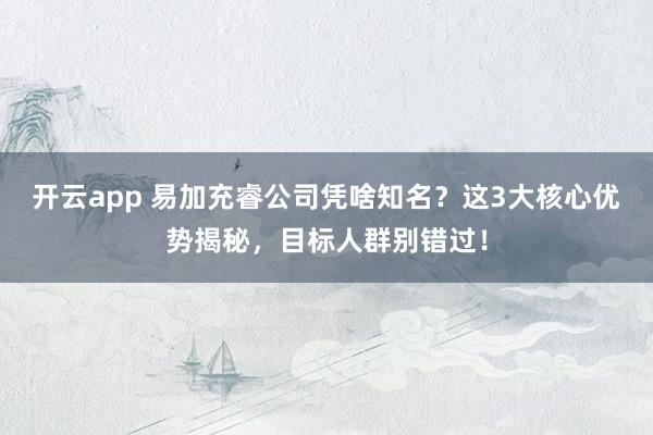 开云app 易加充睿公司凭啥知名？这3大核心优势揭秘，目标人群别错过！