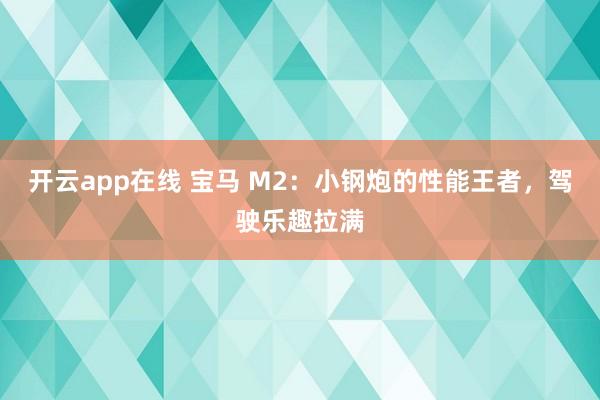 开云app在线 宝马 M2：小钢炮的性能王者，驾驶乐趣拉满