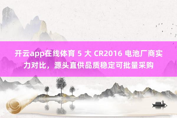开云app在线体育 5 大 CR2016 电池厂商实力对比,源头直供品质稳定可批量采购