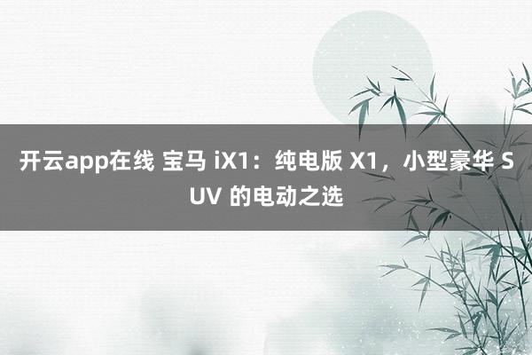 开云app在线 宝马 iX1：纯电版 X1，小型豪华 SUV 的电动之选