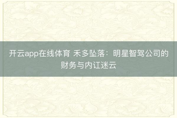 开云app在线体育 禾多坠落：明星智驾公司的财务与内讧迷云