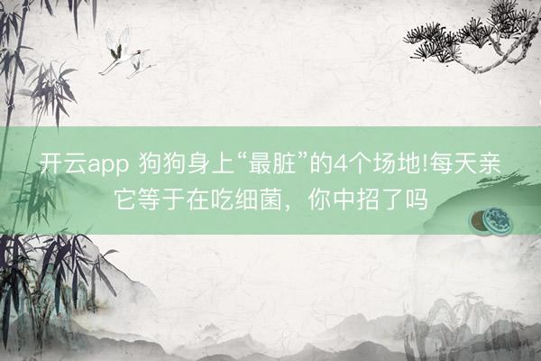 开云app 狗狗身上“最脏”的4个场地!每天亲它等于在吃细菌,你中招了吗