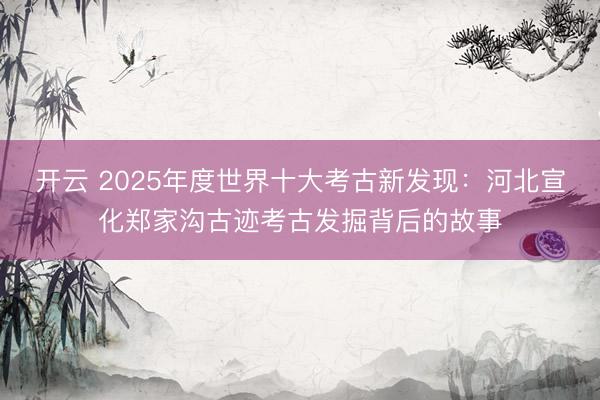 开云 2025年度世界十大考古新发现：河北宣化郑家沟古迹考古发掘背后的故事