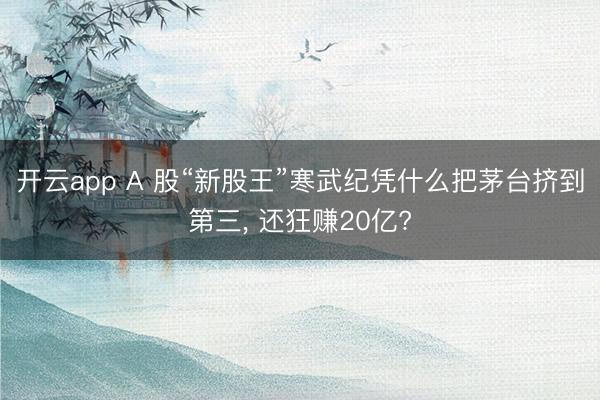 开云app A 股“新股王”寒武纪凭什么把茅台挤到第三, 还狂赚20亿?
